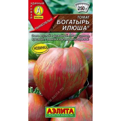 БОГАТЫРЬ ИЛЮША