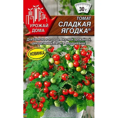 СЛАДКАЯ ЯГОДКА