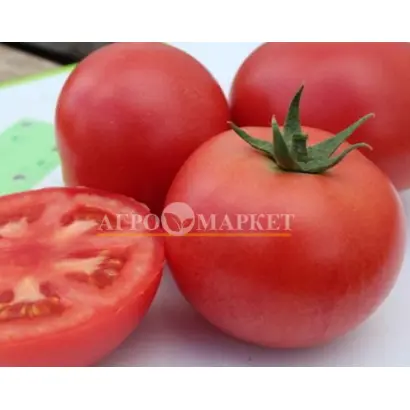 ГВАДАЛКВИВИР