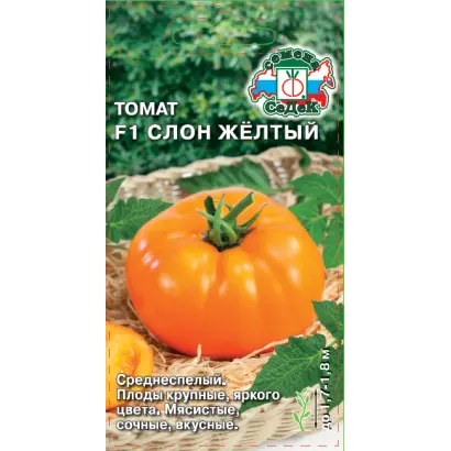 ЖЕЛТЫЙ СЛОН