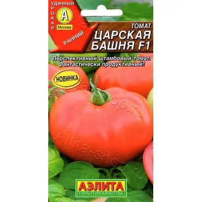 ЦАРСКАЯ БАШНЯ