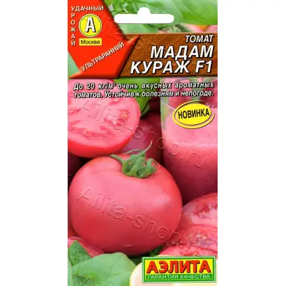 МАДАМ КУРАЖ