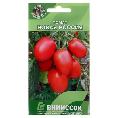 НОВАЯ РОССИЯ