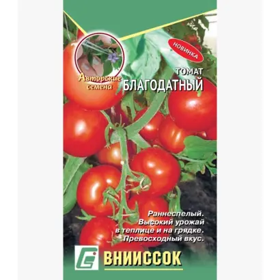 БЛАГОДАТНЫЙ