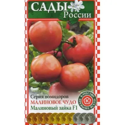 МАЛИНОВЫЙ ЗАЙКА