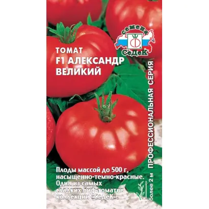 АЛЕКСАНДР ВЕЛИКИЙ