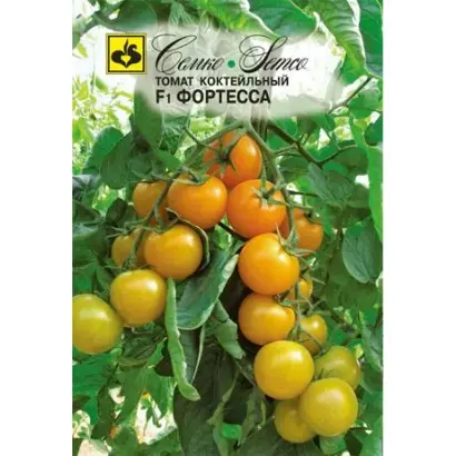 ФОРТЕССА