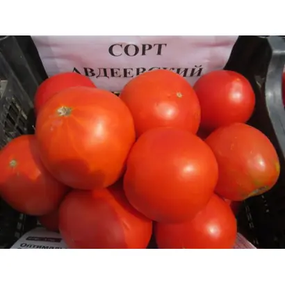 АВДЕЕВСКИЙ