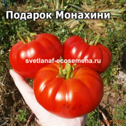 ПОДАРОК ОВОЩЕВОДУ