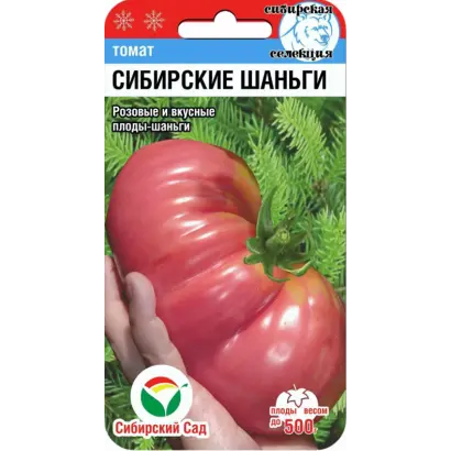 СИБИРСКИЕ ШАНЬГИ