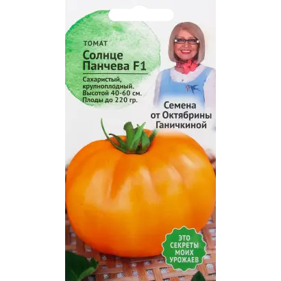 СОЛНЦЕ ПАНЧЕВА