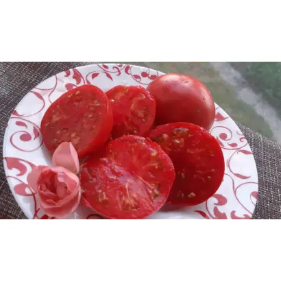 БЕРНСКАЯ РОЗА