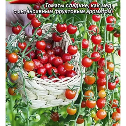 СЛАДКИЙ ЖЕМЧУГ