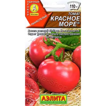 КРАСНОЕ МОРЕ