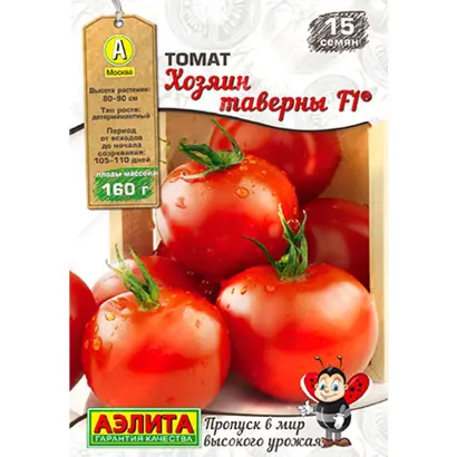 ХОЗЯИН ТАВЕРНЫ