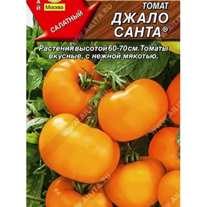 ДЖАЛО САНТА