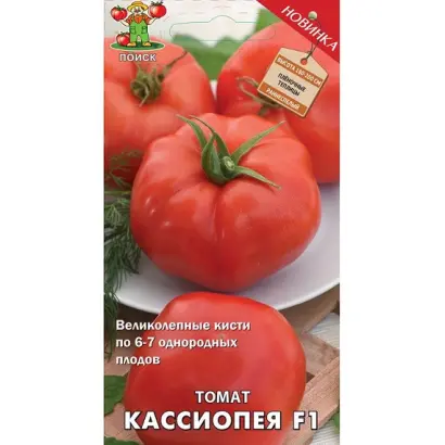 КАССИОПЕЯ