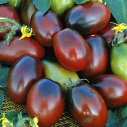 МОНИСТО ШОКОЛАДНОЕ