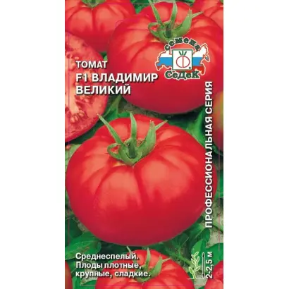 ВЛАДИМИР ВЕЛИКИЙ