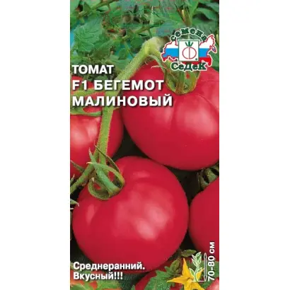 БЕГЕМОТ МАЛИНОВЫЙ