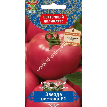 ЗВЕЗДА ВОСТОКА