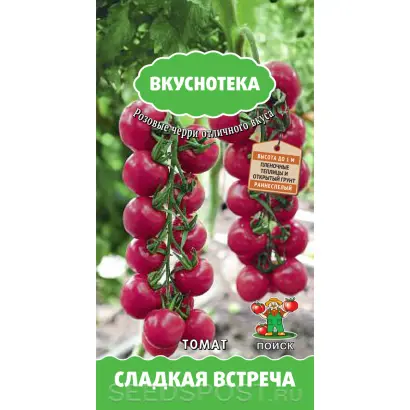 СЛАДКАЯ ВСТРЕЧА