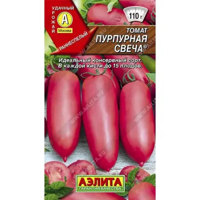 ПУРПУРНАЯ СВЕЧА