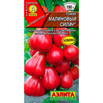 МАЛИНОВЫЙ СИЛАЧ