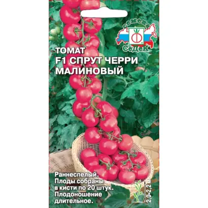 ЧЕРРИ МАЛИНОВАЯ