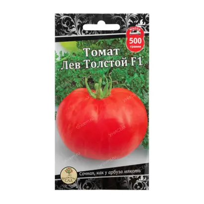 ЛЕВ ТОЛСТОЙ