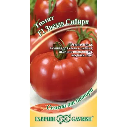 ЗВЕЗДА СИБИРИ