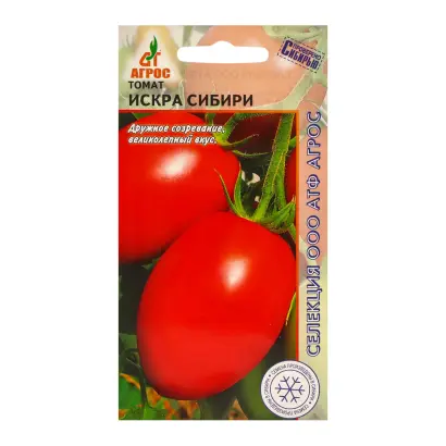 ИСКРА СИБИРИ