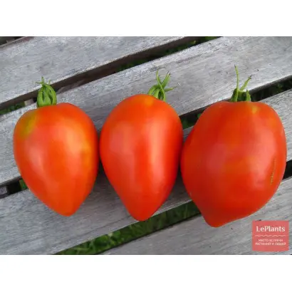 ПЕРЕБУДОВА