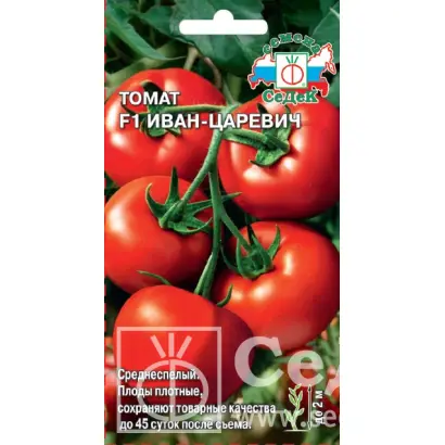 ИВАН-ЦАРЕВИЧ