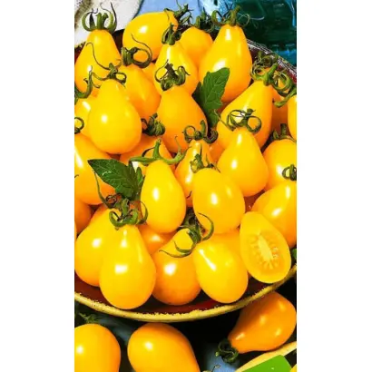 ЗОЛОТЫЕ КОЛОКОЛА