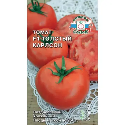 ТОЛСТЫЙ КАРЛСОН