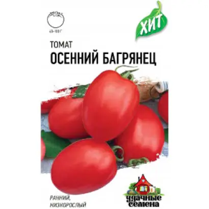ОСЕННИЙ БАГРЯНЕЦ