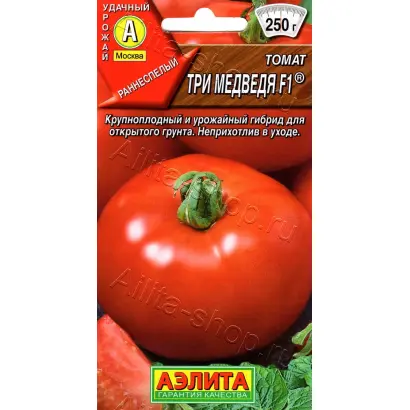 ТРИ МЕДВЕДЯ