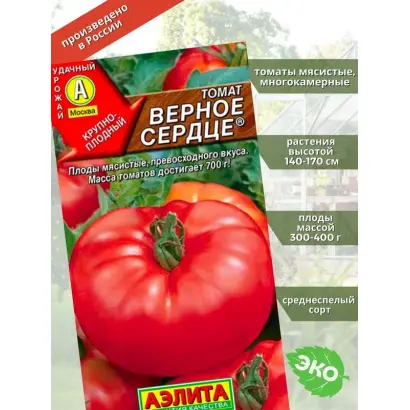 ВЕРНОЕ СЕРДЦЕ