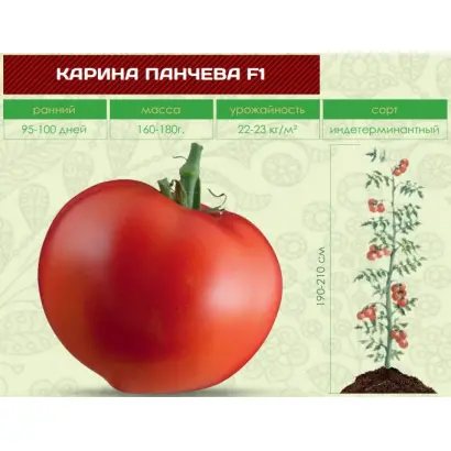 КАРИНА ПАНЧЕВА