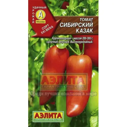 СИБИРСКИЙ КАЗАК