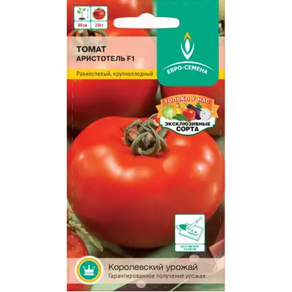 АРИСТОТЕЛЬ