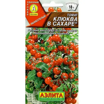 КЛЮКВА В САХАРЕ