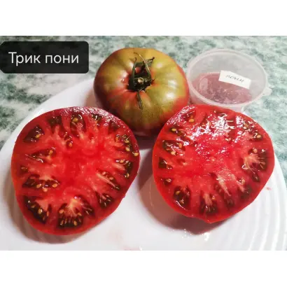 ПОНИ