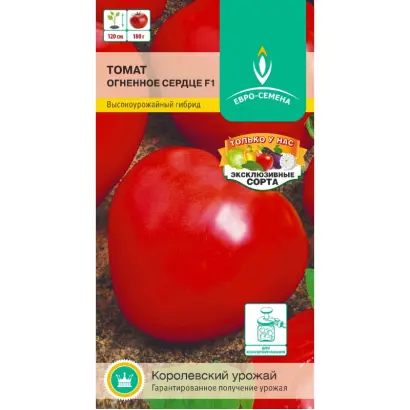 ОГНЕННОЕ СЕРДЦЕ