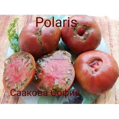 ПОЛЯРИС
