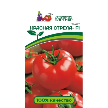 КРАСНАЯ СТРЕЛА ПЛЮС