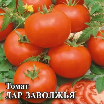ДАР ЗАВОЛЖЬЯ