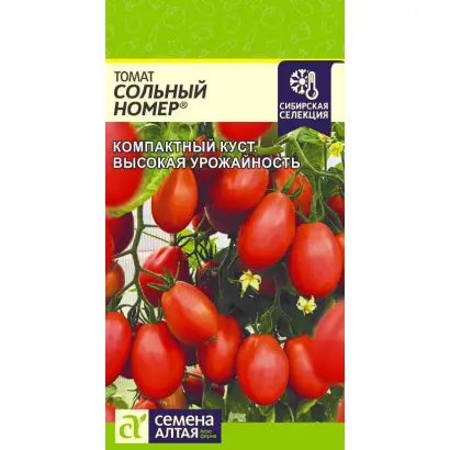 СОЛЬНЫЙ НОМЕР