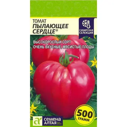 ПЫЛАЮЩЕЕ СЕРДЦЕ